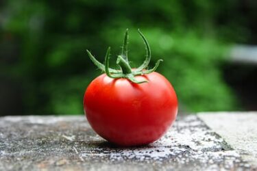 リコピンの効果が凄い！！トマトの栄養について